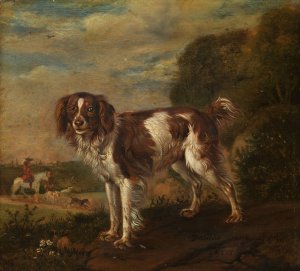 A Spaniel by Paulus Potter Oil Painting