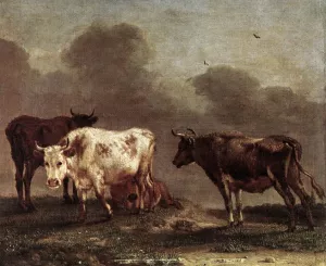 Cows in a Meadow by Paulus Potter - Oil Painting Reproduction