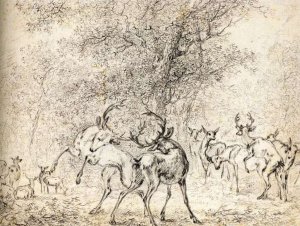 Deer in the Wood by Paulus Potter Oil Painting
