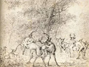 Deer in the Wood Oil painting by Paulus Potter