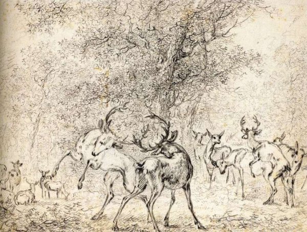 Main Product Photo of Deer in the Wood Painting by Paulus Potter