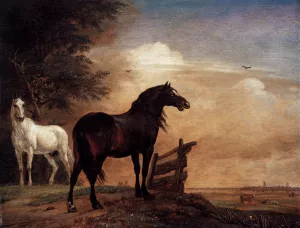 Horses in a Field by Paulus Potter Oil Painting