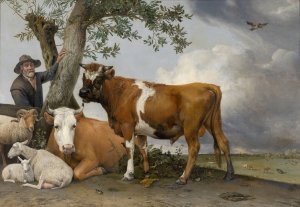 The Bull by Paulus Potter Oil Painting