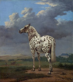 The Piebald Horse by Paulus Potter Oil Painting