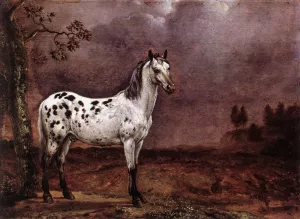 The Spotted Horse Oil painting by Paulus Potter