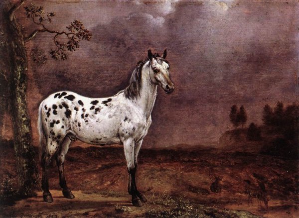 Main Product Photo of The Spotted Horse Painting by Paulus Potter