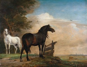 Two Horses in a Meadow near a Gate by Paulus Potter Oil Painting