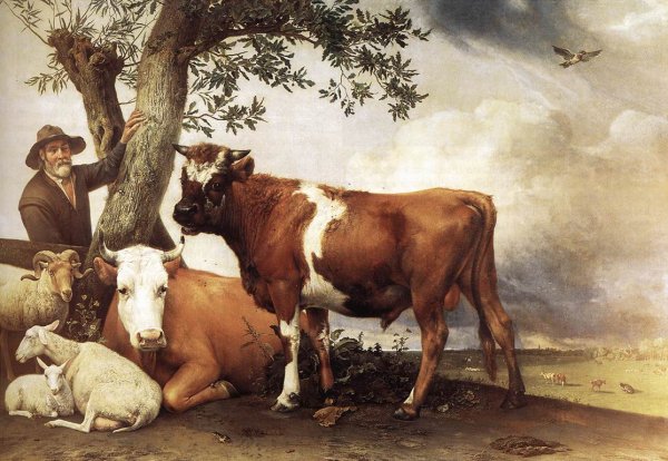 Main Product Photo of Young Bull Painting by Paulus Potter