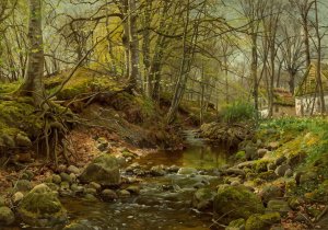 A forest stream by Peder Mork Monsted Oil Painting