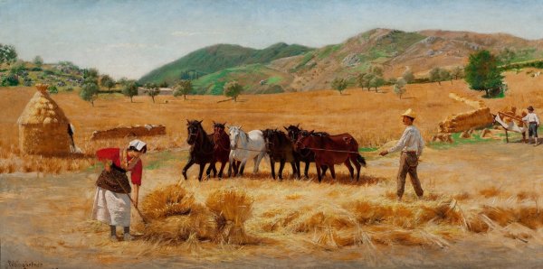 Main Product Photo of Harvest in Anticoli Painting by Pedro Weingartner