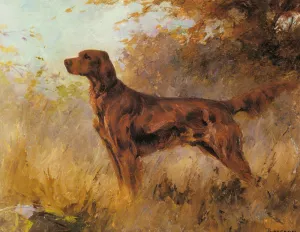 A Red Setter by Percival Leonard Rosseau Oil Painting