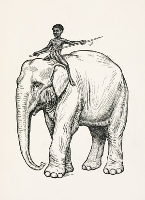 A hundred anecdotes of animals 002 by Percy J. Billinghurst Oil Painting