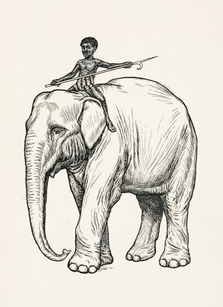 A hundred anecdotes of animals 002  by Percy J. Billinghurst - Hand-Painted Oil Painting Reproduction