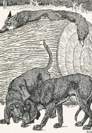A hundred anecdotes of animals 034 by Percy J. Billinghurst Oil Painting