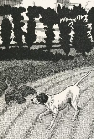 A hundred anecdotes of animals 096 by Percy J. Billinghurst Oil Painting