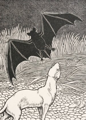 The Bat and the Two Weasels by Percy J. Billinghurst Oil Painting