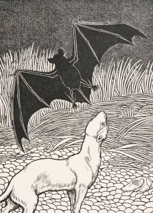 The Bat and the Two Weasels by Percy J. Billinghurst Oil Painting