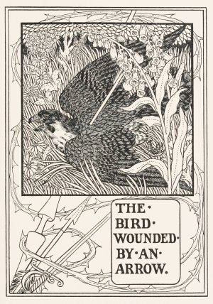 The Bird Wounded by an Arrow by Percy J. Billinghurst Oil Painting