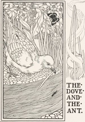 The Dove and the Ant by Percy J. Billinghurst Oil Painting