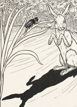 The Ears of the Hare by Percy J. Billinghurst Oil Painting