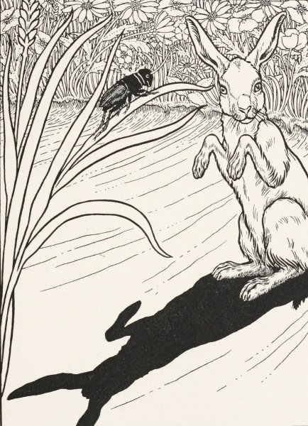 The Ears of the Hare  by Percy J. Billinghurst - Hand-Painted Oil Painting Reproduction