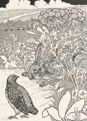 The Hare and the Partridge by Percy J. Billinghurst Oil Painting