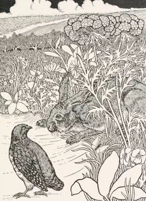 The Hare and the Partridge by Percy J. Billinghurst The Hare and the Partridge by Percy J. Billinghurst Oil Painting