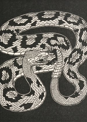 The Head and the Tail of the Serpent by Percy J. Billinghurst Oil Painting
