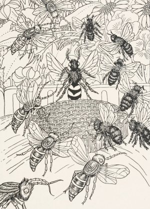 The Hornets and the Bees by Percy J. Billinghurst Oil Painting