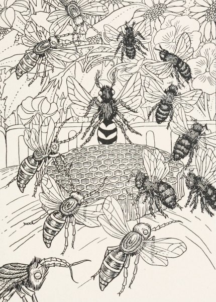 The Hornets and the Bees  by Percy J. Billinghurst - Hand-Painted Oil Painting Reproduction