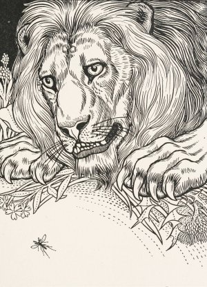 The Lion and the Gnat by Percy J. Billinghurst Oil Painting