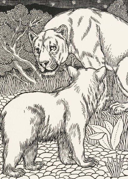 The Lioness and the Bear  by Percy J. Billinghurst - Hand-Painted Oil Painting Reproduction