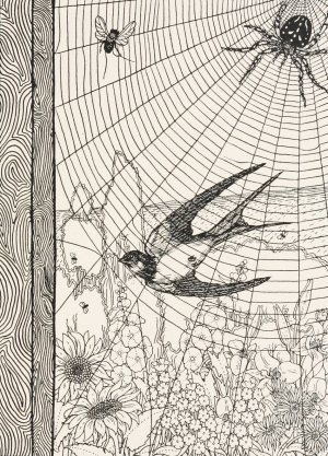 The Spider and the Swallow by Percy J. Billinghurst Oil Painting