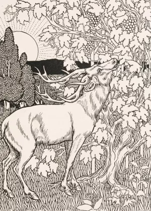 The Stag and the Vine by Percy J. Billinghurst The Stag and the Vine by Percy J. Billinghurst Oil Painting