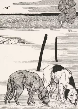 The Two Dogs and the Dead Ass by Percy J. Billinghurst Oil Painting