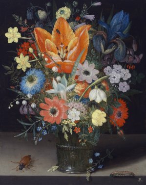 Still Life with Iris by Peter Binoit Oil Painting