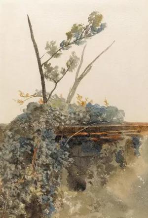 Study of Ivy by Peter De Wint Oil Painting