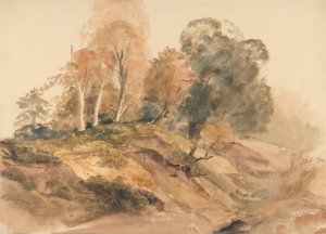 Trees on a Bank Oil painting by Peter Dewint