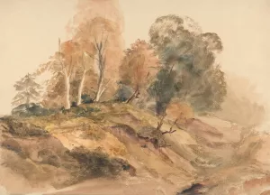 Trees on a Bank by Peter Dewint Oil Painting