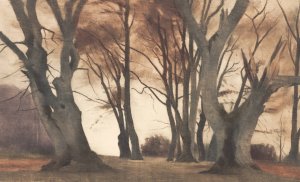 Bogetraeer i Ermelunden by Peter Ilsted Oil Painting