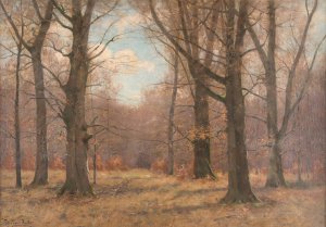 Late fall in the beech forest by Peter Paul Muller Oil Painting