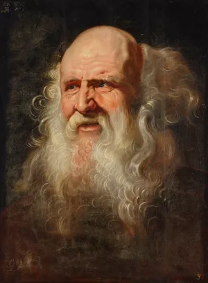 Head study of a man Oil painting by Peter Paul Rubens (Follower)