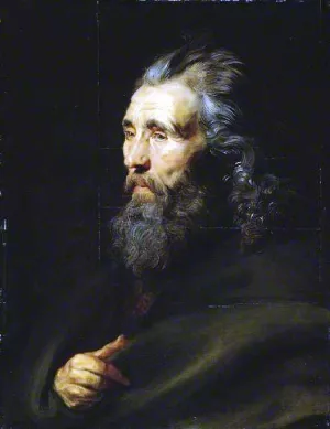 Head Study of a Bearded Man by Peter Paul Rubens Oil Painting