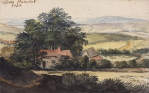 From Hampstead by Peter Tillemans Oil Painting