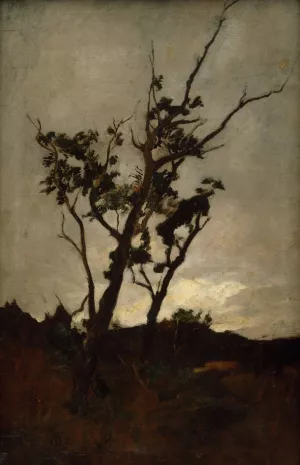 Tree Study Oil painting by Petrus Van Der Velden