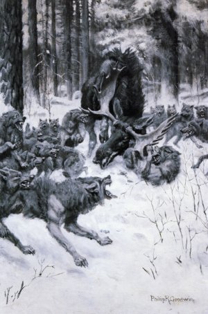 The Battle of the Strong and the Cunning by Philip R. Goodwin Oil Painting