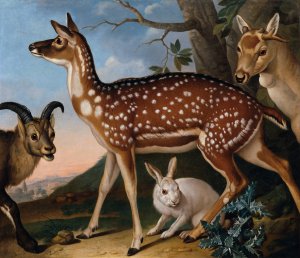 Damwild, Steinbock Und Hase by Philipp Ferdinand De Hamilton Oil Painting