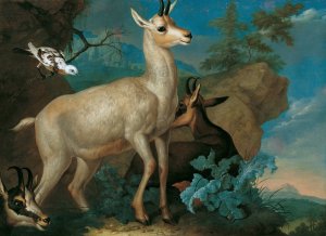 Drei Gemsen Und Eine Amsel by Philipp Ferdinand De Hamilton Oil Painting