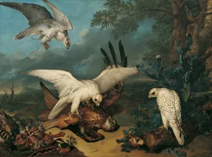 Ein Roter Milan, Von Islandischen Falken Besiegt by Philipp Ferdinand De Hamilton Oil Painting