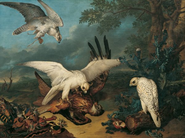 Ein Roter Milan, Von Islandischen Falken Besiegt  by Philipp Ferdinand De Hamilton - Hand-Painted Oil Painting Reproduction